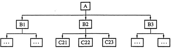 线性组织结构